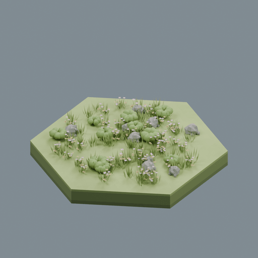 Grassland biome